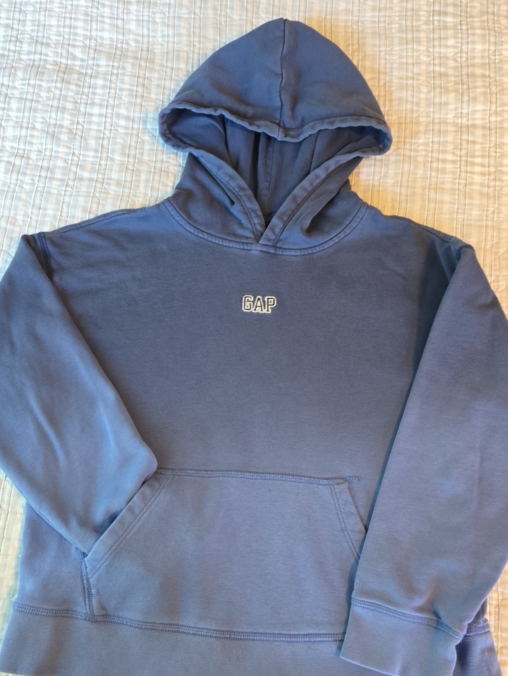 GAP Men's Slate Blue Pullover Hoodie